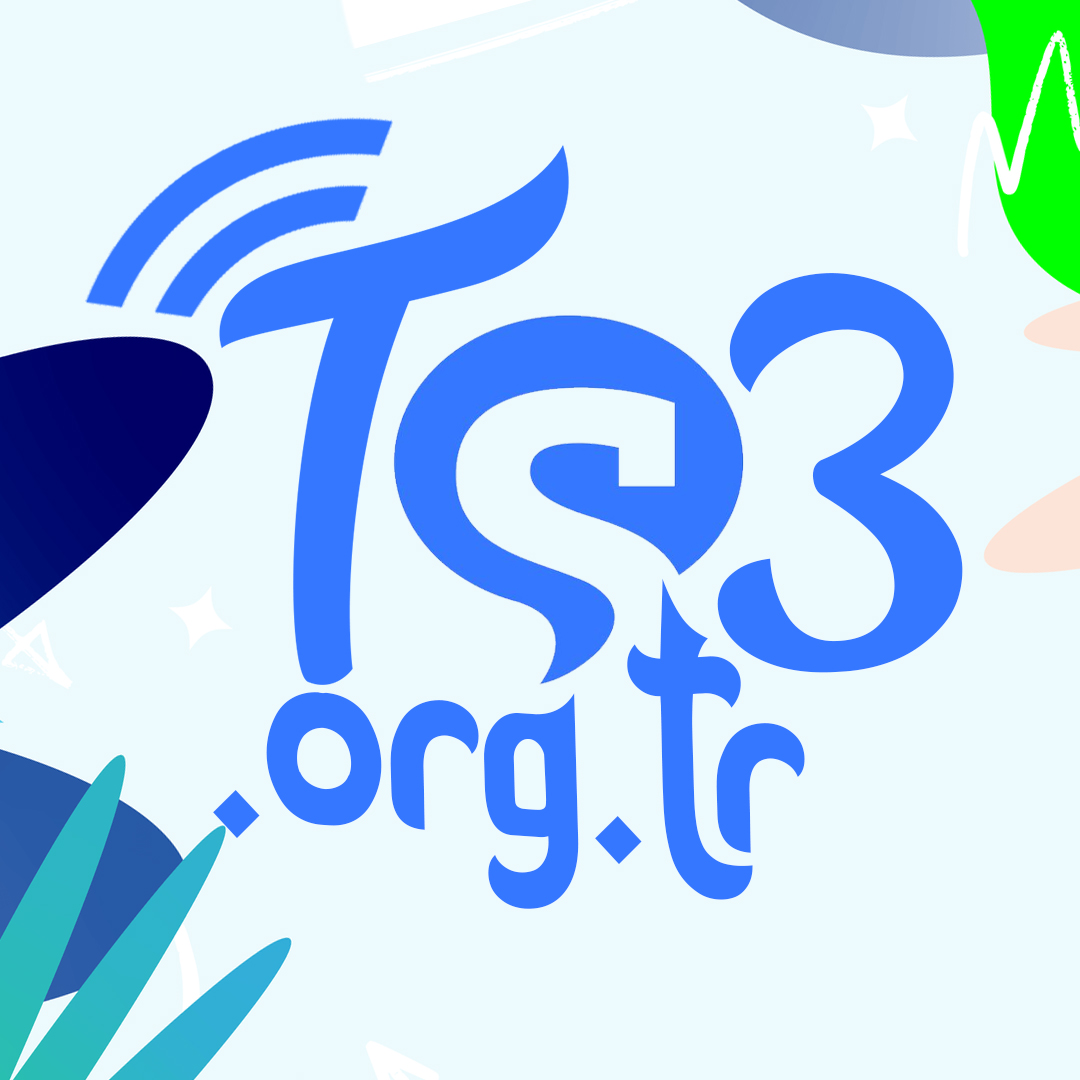 TS3 Logo